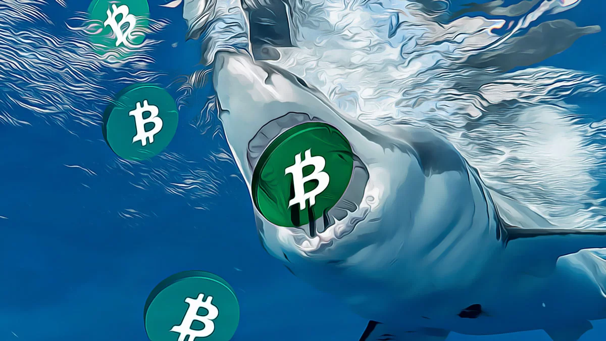 Financial Giant Ventures into Bitcoin with Massive Investment