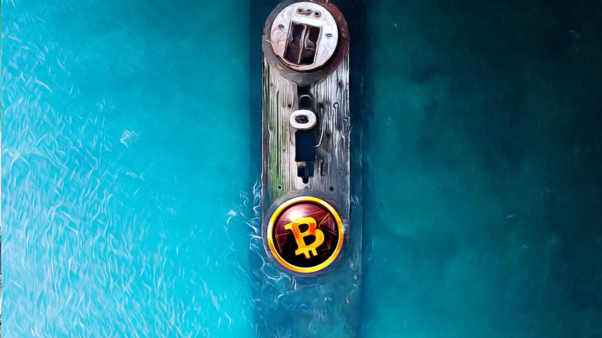 Strategic Moves in the Face of Crypto Market Fluctuations