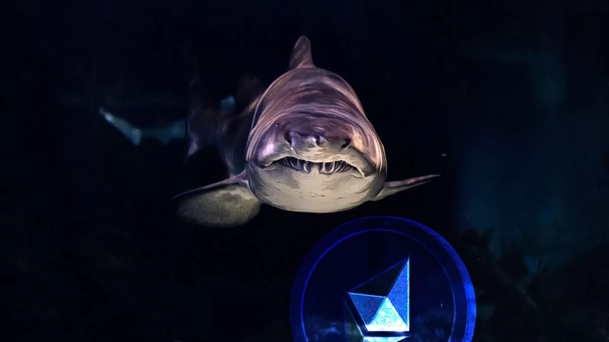 The Tug-of-War in Valuing Ethereum’s Ether