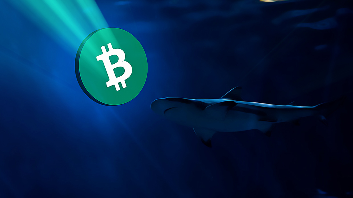 Federal Reserve’s Rate Cut Sparks $80 Billion Crypto Market Drop