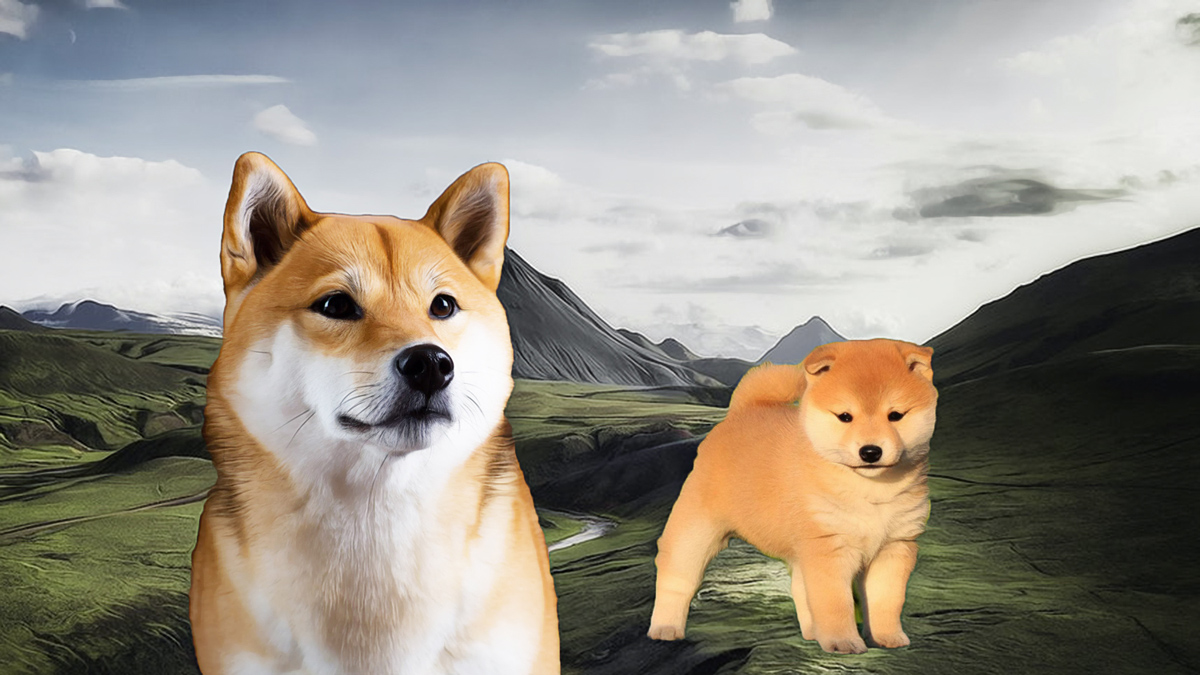 Shiba Inu Holds Steady While Market Awaits a Major Move