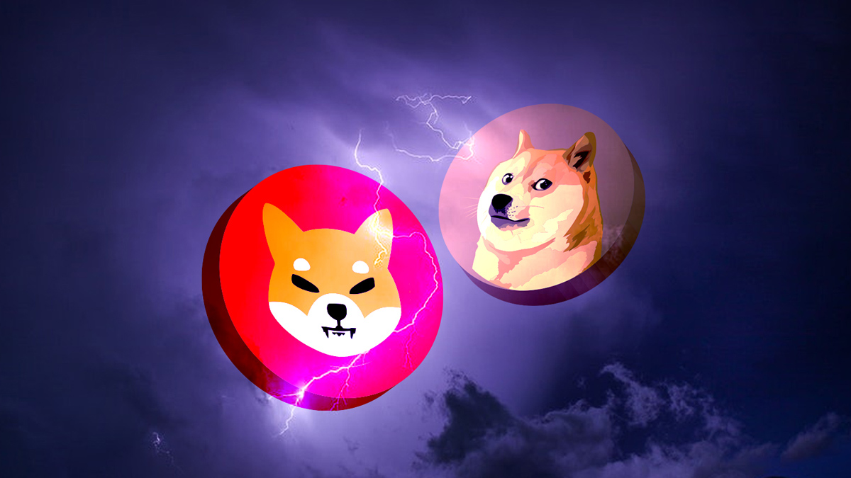 Dramatic Token Burning in Shiba Inu Grabs Immediate Attention