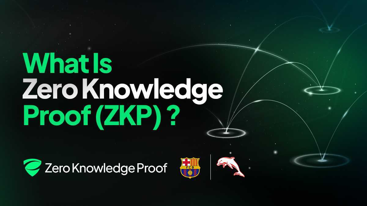 Why Experts Say Zero Knowledge Proof Crypto Is the Fastest Path Into a Real ZK Network With Actual Output