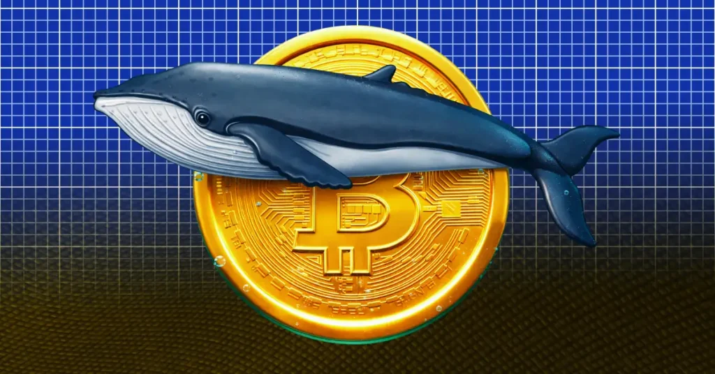 Bitcoin Whale Profits $570K as Bitcoin Price Rise Above $71K