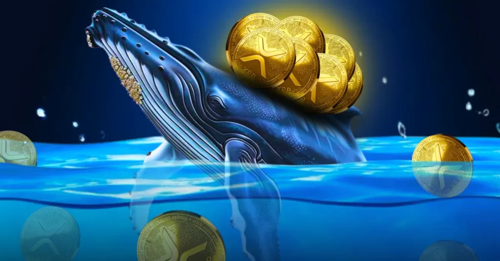 XRP Sees $35M Bot-Driven Buying as Whales Stay Divided
