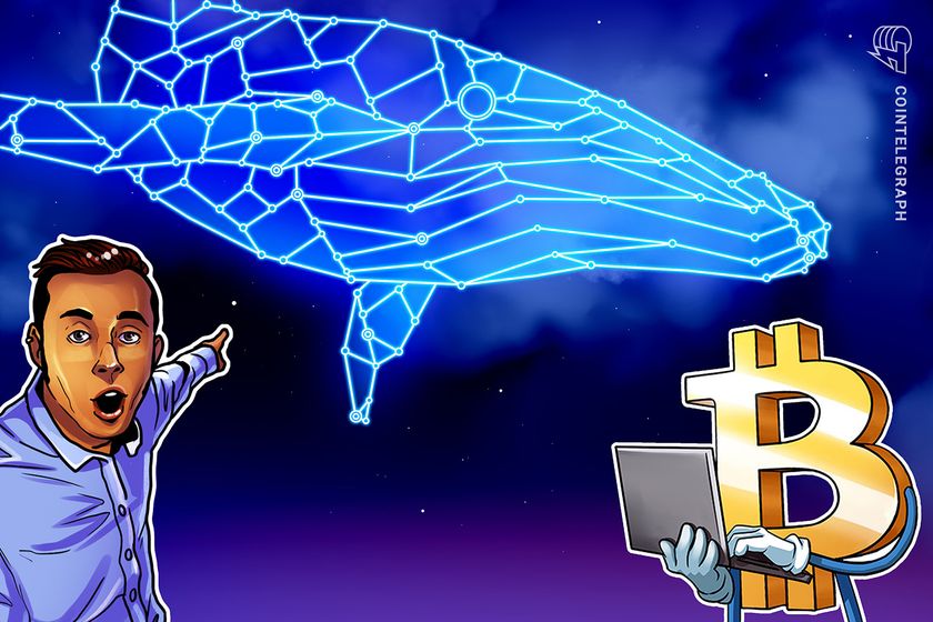 Bitcoin risks deeper drop if whale exchange deposits stay high: Analyst