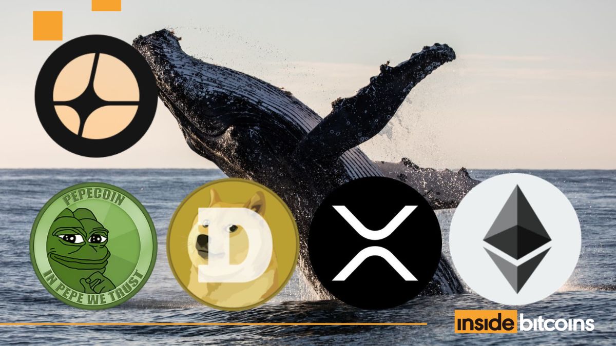 Aster Price Plunges 20% As Anti-CZ Whale Makes $100M Profit From Shorts, Targets XRP, DOGE, ETH, PEPE