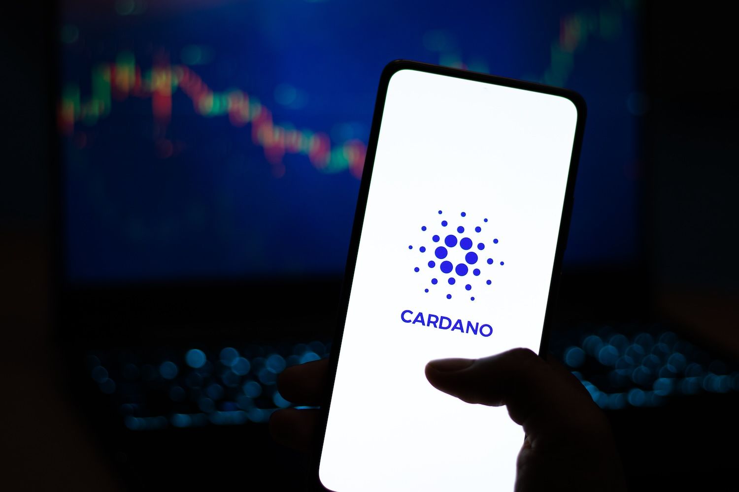 Cardano Whales Accumulate $204 Million in Four Days Despite 30% Price Decline