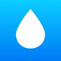 Dogwifhat Price Today Drops as Noomez ($NNZ) Heats Up Fast