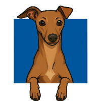 Solana Faces Decline in On-Chain Activity Amid Market Challenges