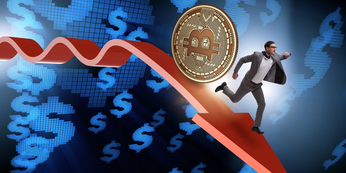 Crypto Treasury Firms Blamed for Bitcoin Price Decline, Says Columbia Professor