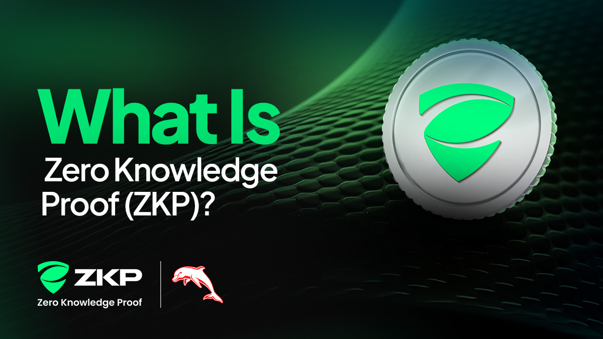 Online Privacy Seems Out of Reach, but Zero Knowledge Proof (ZKP) Restores What You’ve Lost