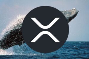 This Whale’s XRP Monster Buy Stuns XRP Army