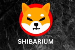 Shiba Inu (SHIB) Team: Why Shibarium Will Survive and Come Back Stronger