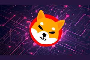 SHIB Will Go Parabolic When Alt Season Begins. Do Not Get Left Behind