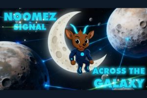 Crypto Crash Wipes Out $800M in Liquidations: Why the Noomez ($NNZ) Presale Is the Safest Bet in a Volatile Market