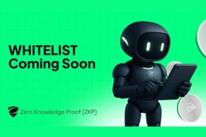 Zero Knowledge Proof (ZKP): Whitelist Now to Judge, Verify, and Challenge