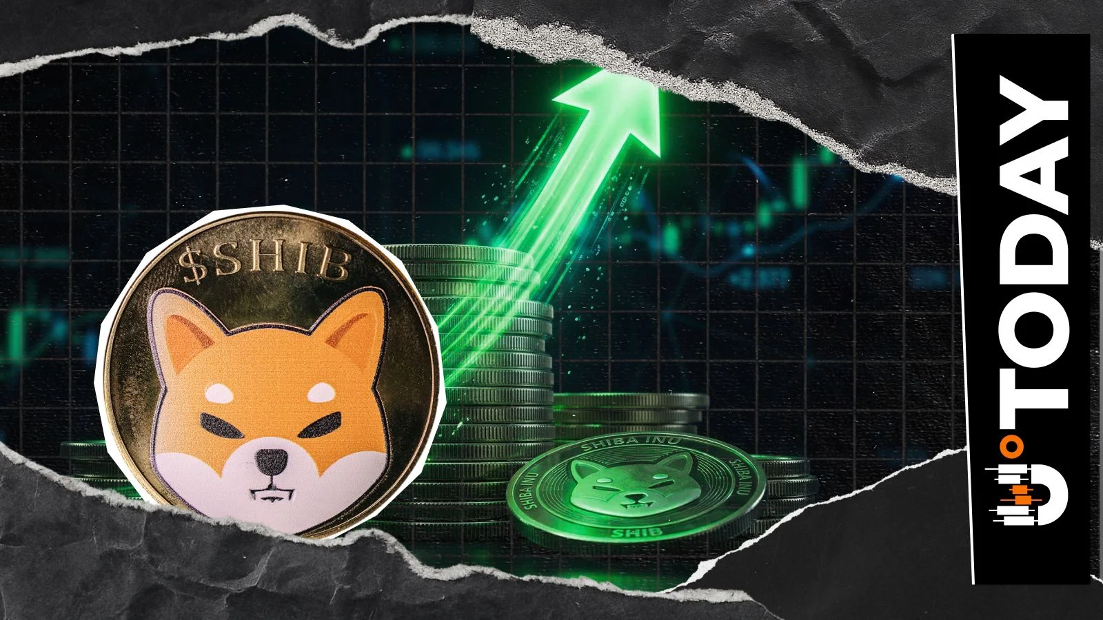 Shiba Inu Crypto Exchange Netflow Jumps 208% as SHIB Volatility Returns