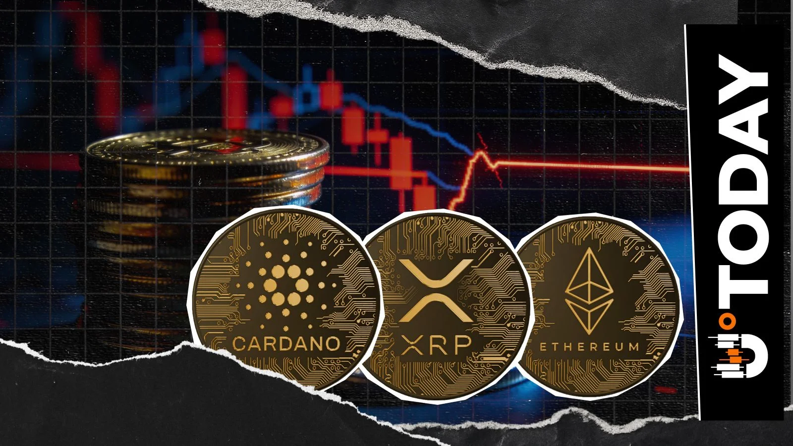 Cardano, XRP, Ethereum and Other Altcoins' Popularity Collapses: Does Anyone Need Them?
