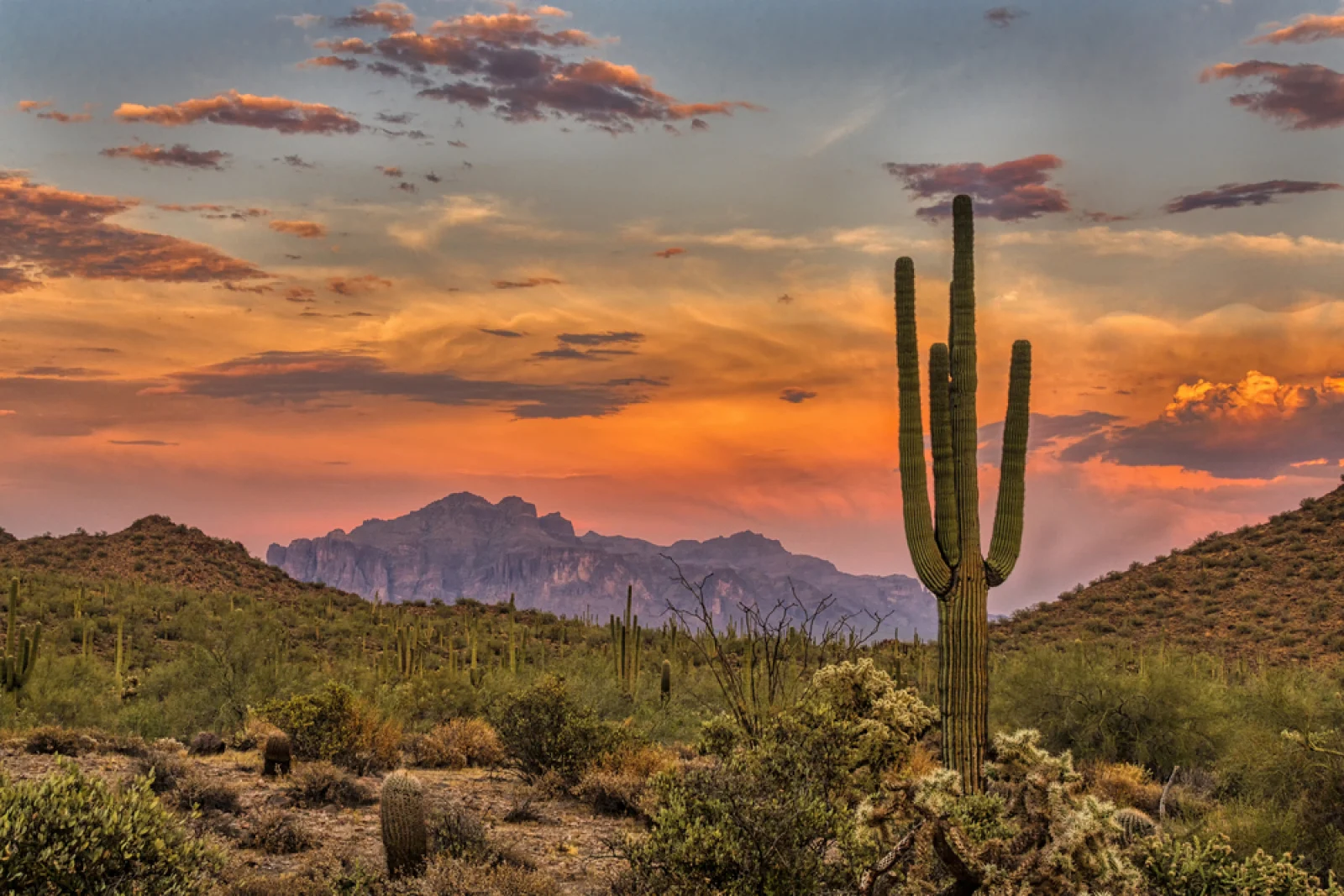 Arizona Bitcoin Bill Nearing Final Vote, But It's Too Early to Celebrate