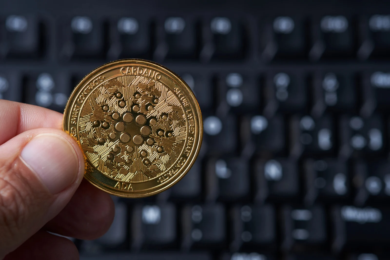 Cardano (ADA) Recovery More Than Possible Now: 150% Volume Increase