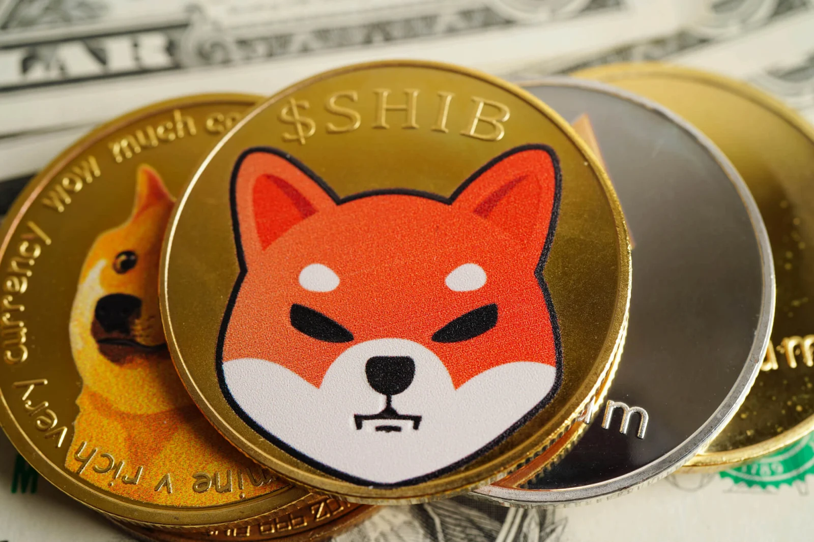 -125 Billion Shiba Inu (SHIB) in 24 Hours: 81 Trillion Reserve Takes Hit