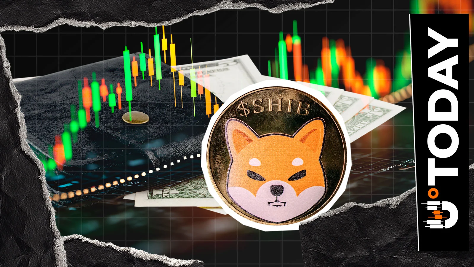 SHIB Holder Surge Update Shared by Shiba Inu Team: ‘Steady Growth’