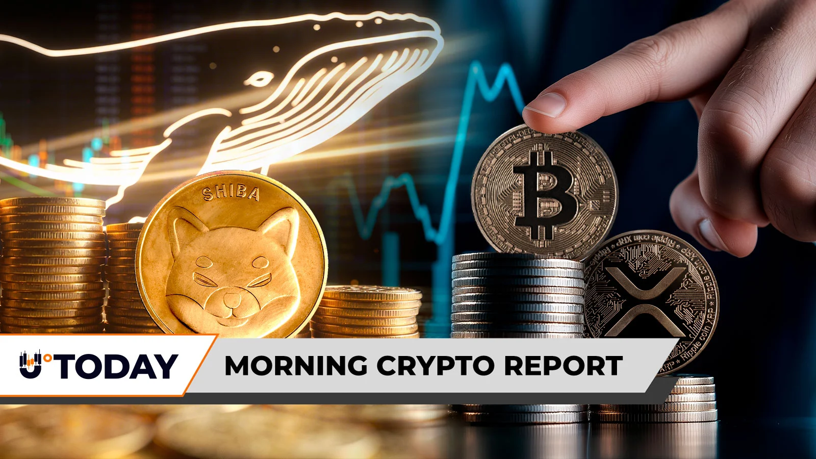 120 Billion SHIB: Unknown Whale Aggressively Expands Shiba Inu Portfolio, Trader Who Predicted 700% XRP Boom Breaks Down Bitcoin Price Situation, Jim Cramer Questions Crypto in True Crisis: Morning Crypto Report