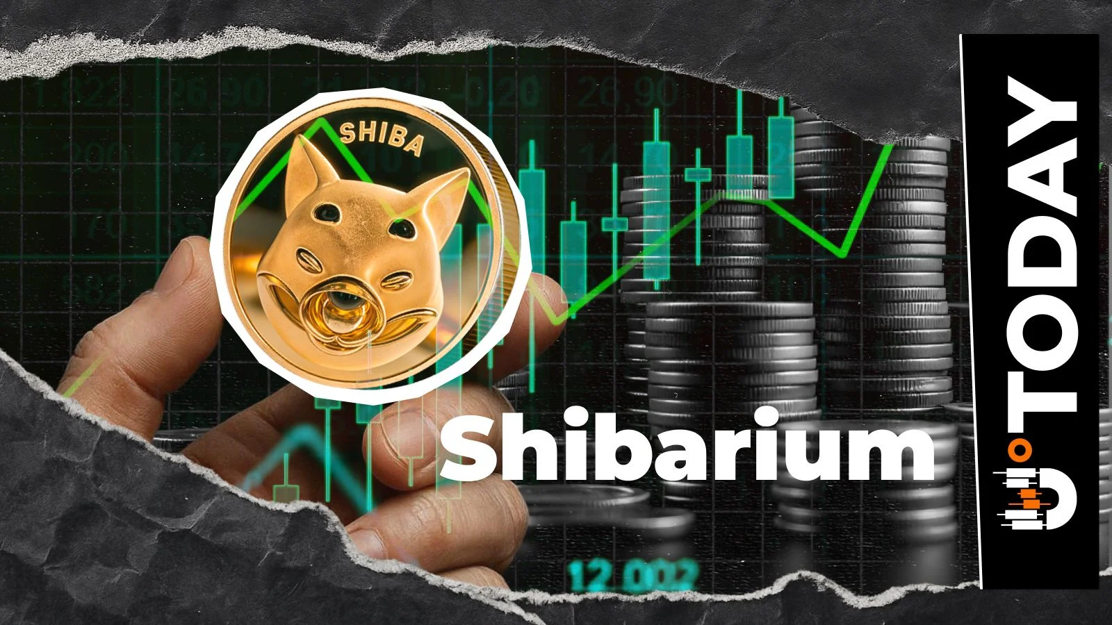 Shibarium Update: 33% Transaction Jump Registered as Network Activity Rebounds