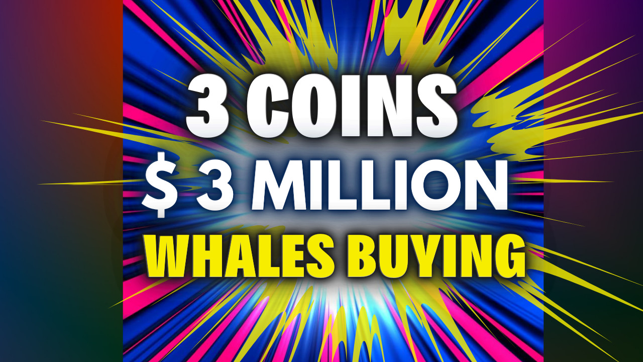 3 Altcoins That Whales Are Buying During the Crypto Dip