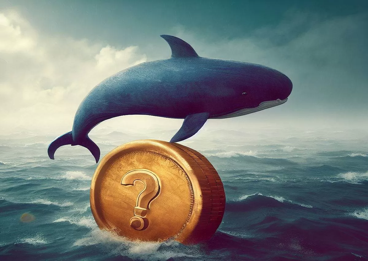 Altcoin Whales Have Been Very Active in Recent Hours: Heavy Selling and Buying – Here Are the Details