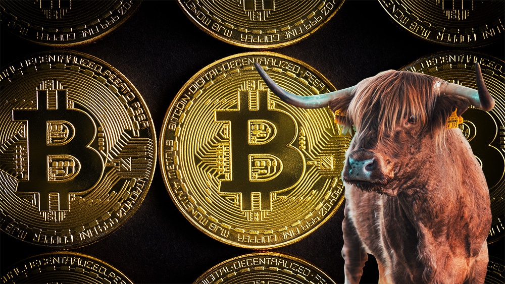 Bernstein Reveals Bullish Forecast for Bitcoin Price Despite Recent Correction