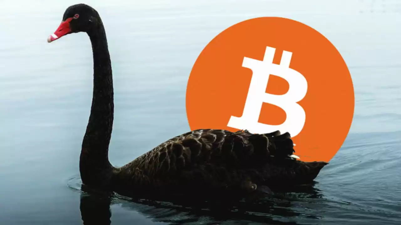 Renowned Expert’s Statement Following Bitcoin’s Decline: “The Black Swan Hasn’t Arrived Yet”