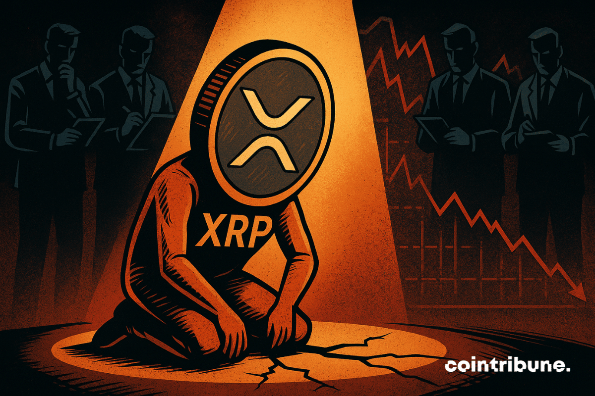 41 % Of XRP Holders Underwater Despite High Price