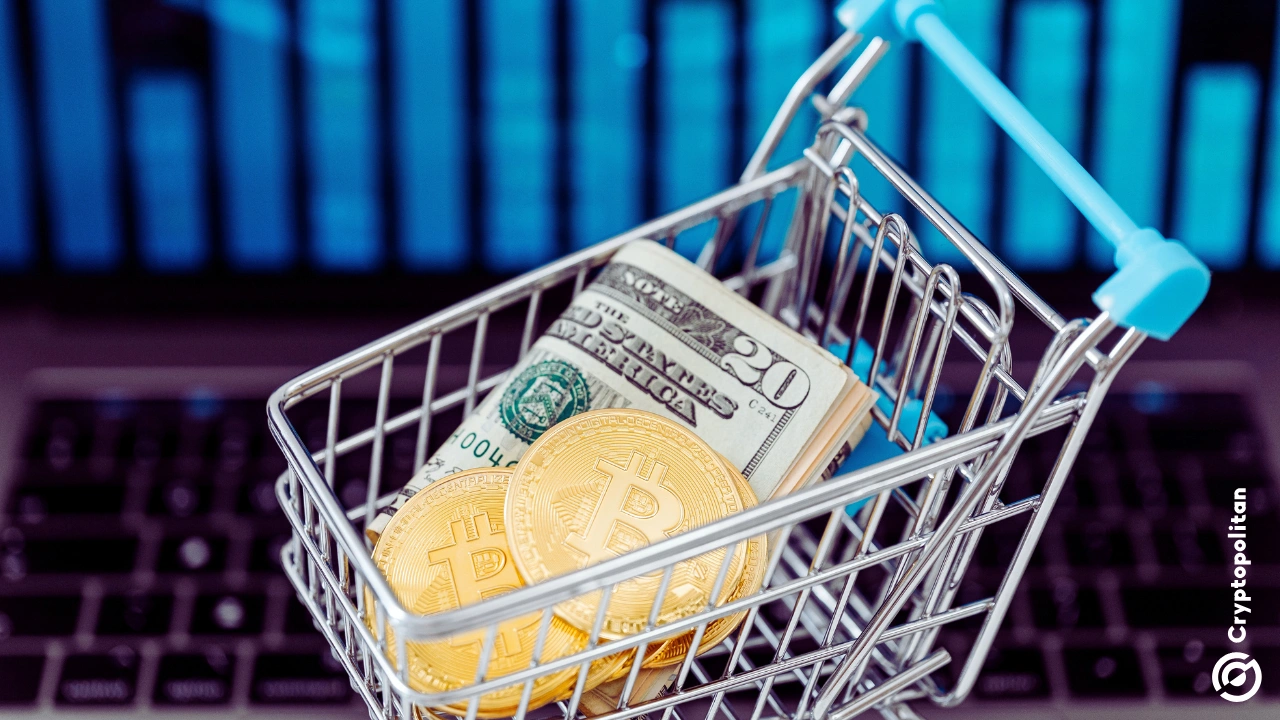 Token Cat Limited’s board agrees to allocate $1 billion of its cash reserves into selected crypto assets