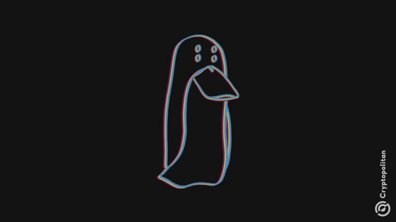 ZachXBT goes after SBF $40M transfer to Chinese authorities he hid from the public