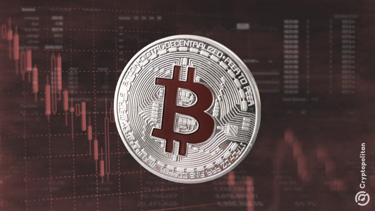 Don't compare Bitcoin to the tulip bubble, ETF analyst fights back