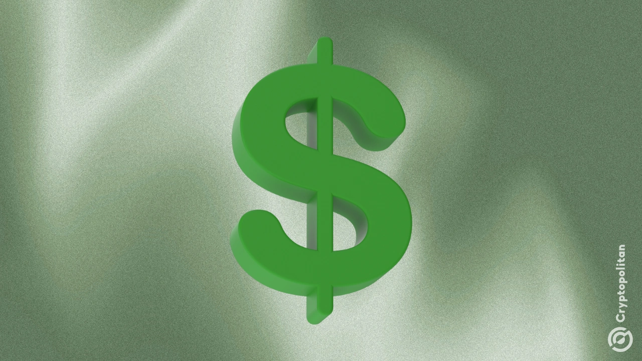 STABLE hovers near record low after mainnet launch