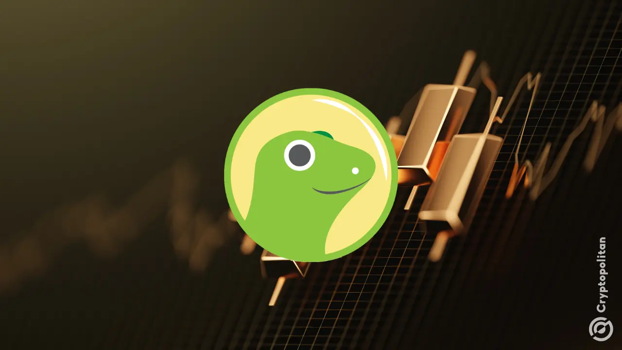 CoinGecko co-founder addresses $500 million sale rumors amid crypto M&A surge