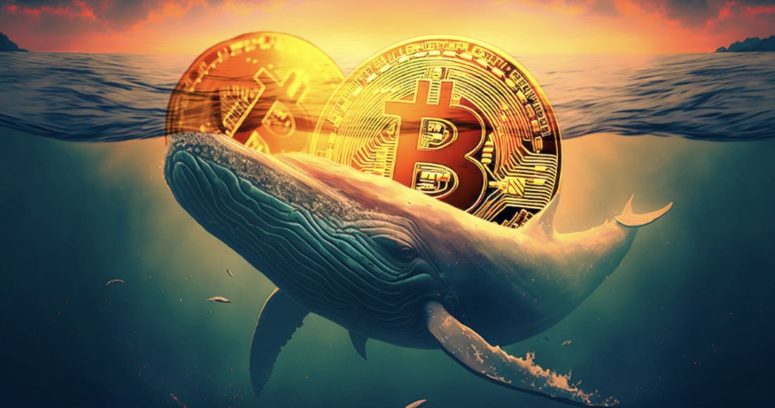 Bitcoin Whales Are Suddenly Surging in Activity as Price Slides: Is a Turnaround Next?