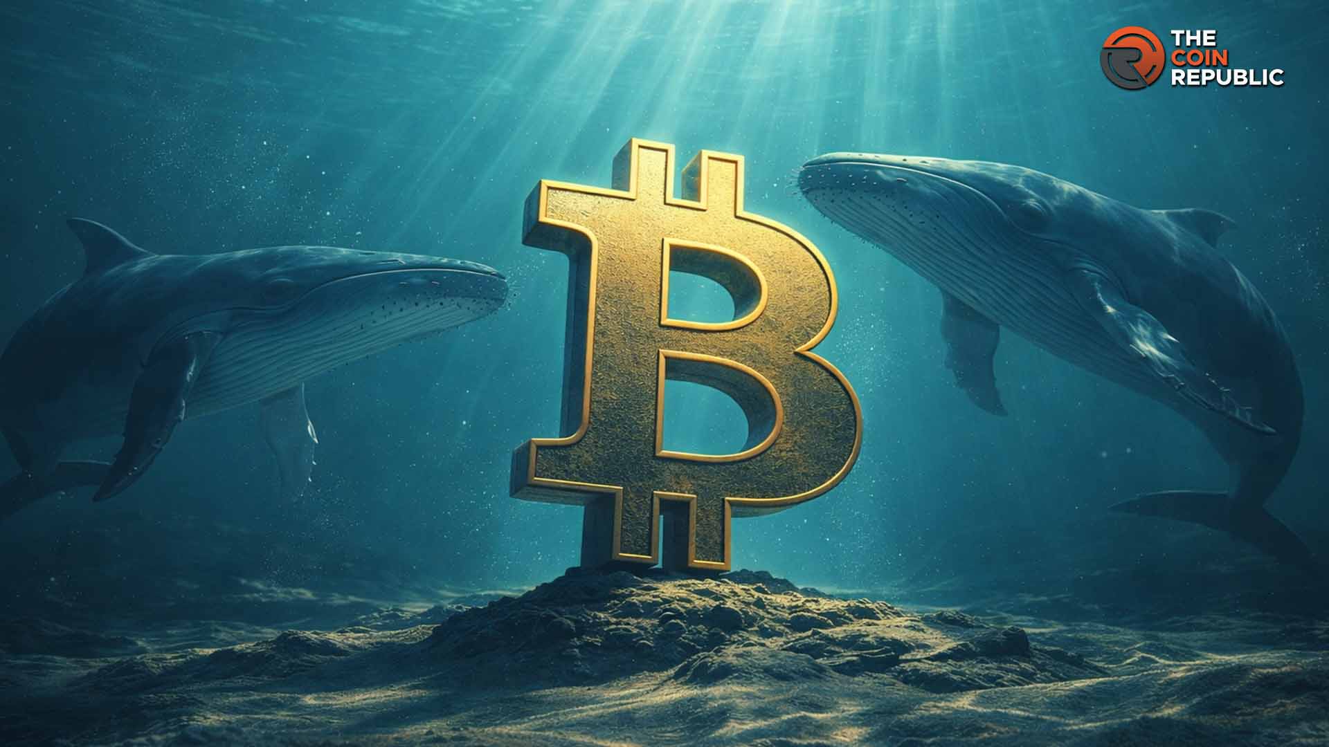Bitcoin Price Rallies as Whales Turn Bullish, What’s Next for BTC?
